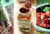 Savor Savannah A Visual Feast