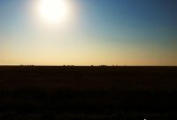 Breath of the Open Road