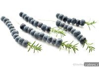 Effortless Rosemary Blueberry Beverage Boosters