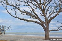 Botany Bay Odyssey
