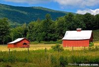 Virginia Creeper: Journey Through Appalachian Beauty