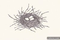Pocket-Sized Nest