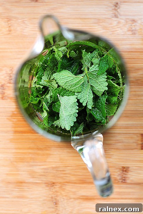 Honey Lemon Balm Spritzer Recipe