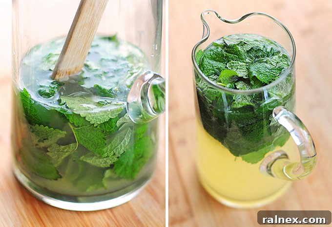 Sparkling Honey Lemon Balm Elixir 4 Honey Lemon Balm Spritzer