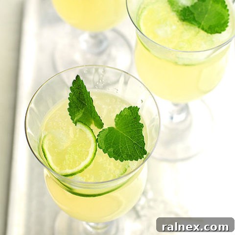 Honey Lemon Balm Spritzer Recipe