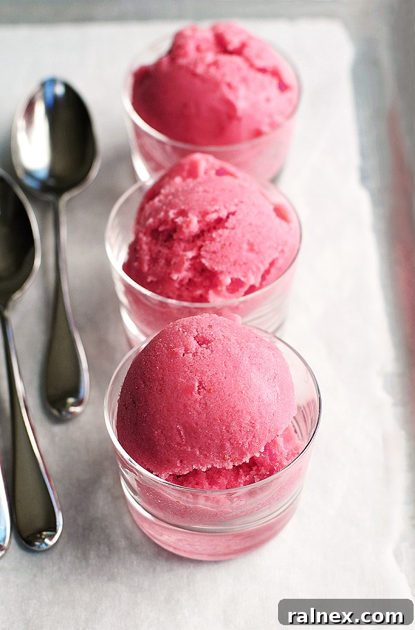 Vibrant homemade strawberry sherbet, a perfect summer treat.