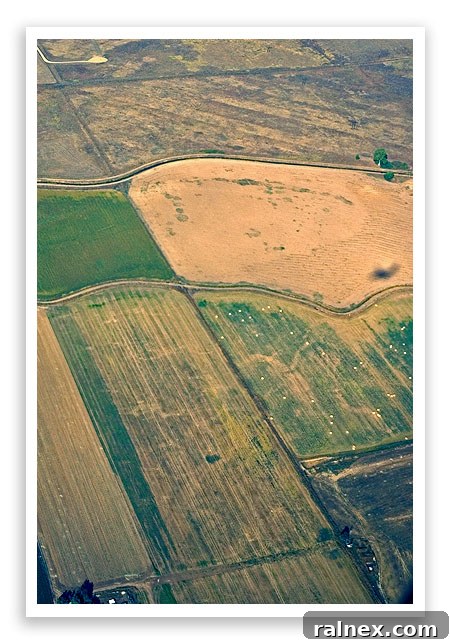 fly20 fly20 - Fields dotted with numerous hay bales