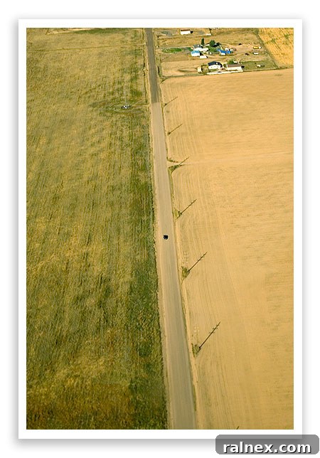 fly19 fly19 - Vehicle driving under an airplane wing on the tarmac