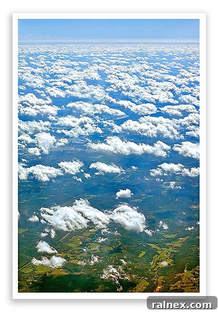 fly28 fly28 - Dense cloud cover over forested areas, near home