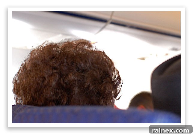 fly8 fly8 - Passenger's impressive beehive hairstyle on a plane