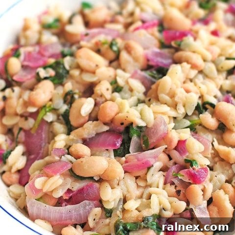 Skillet Lemon Orzo Recipe with Spinach and Beans
