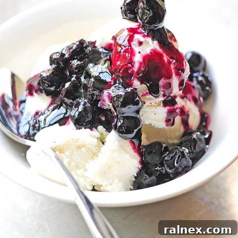 Homemade Blueberry Syrup Recipe