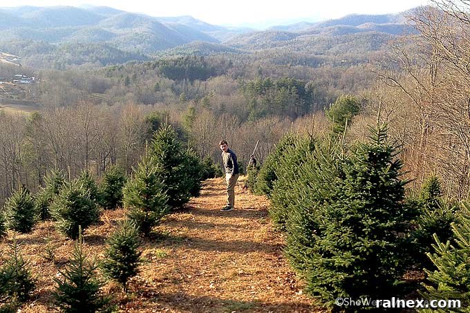 Cozy Cranberry Spice Toddy 4 A day of Christmas Tree hunting in the Mountains of NC | shewearsmanyhats.com