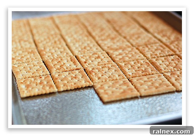 Redneck Toffee Recipe Saltine Crackers Arranged on Baking Sheet
