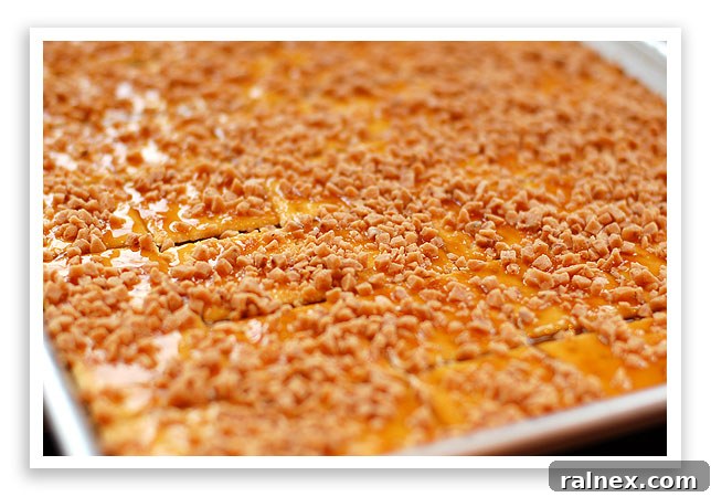 Redneck Toffee Recipe Toffee Bits on Crackers After Baking