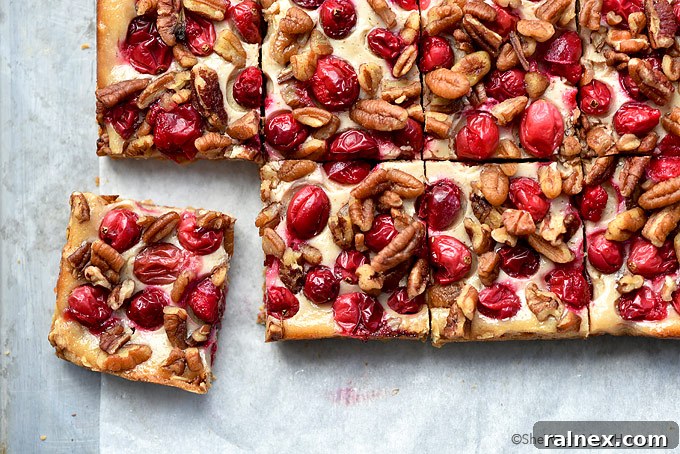 Nutty Oatmeal Cranberry Bars Recipe | shewearsmanyhats.com