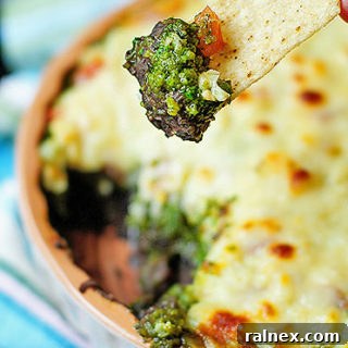 Warm Layered Black Bean Dip with fresh cilantro and melted cheese, perfect for a party appetizer.