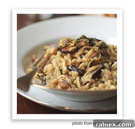 Venetian Risotto venicerisotto