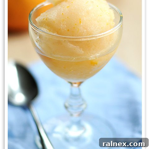 Grapefruit Sorbet Recipe displayed in a recipe card format.